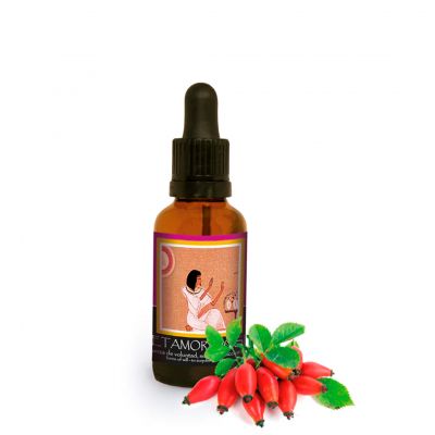 Metamorphosis – Sinergia Floral
